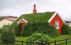 Un mēs sapņojam par zāli... zāli uz mājas jumta
